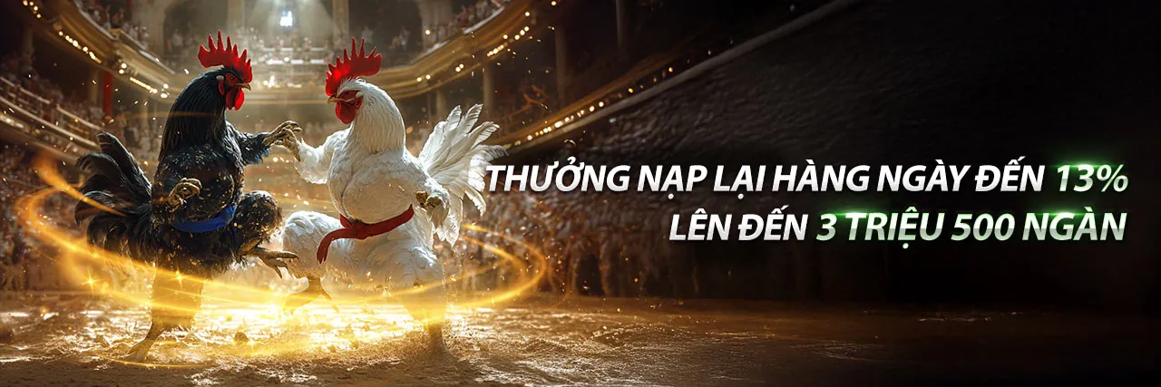 Hình ảnh chính cá cược thể thao BJ88VN
